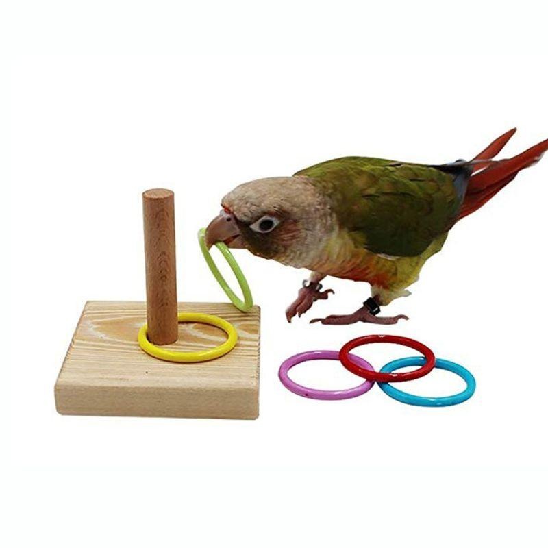Bird Training Ring Toy Parrot  - مراجعة Gymnastic Ring Wood وسعره