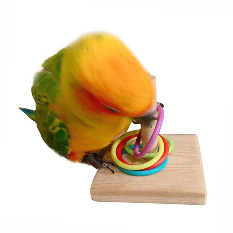 Bird Training Ring Toy Parrot  - مراجعة Gymnastic Ring Wood وسعره