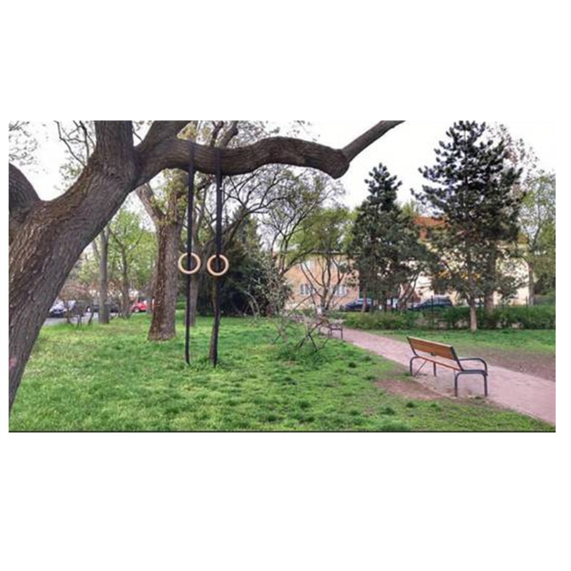 ABYM 38Mm Birch Wood Gymnastic - مراجعة Gymnastic Ring Wood وسعره