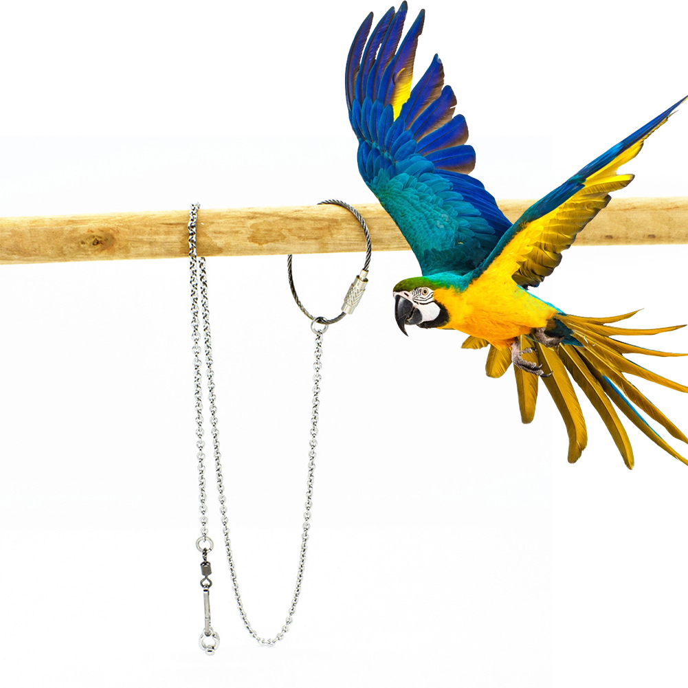 1Pcs Pet Parrot Leg Ring Ankle - مراجعة Gymnastic Ring Wood وسعره