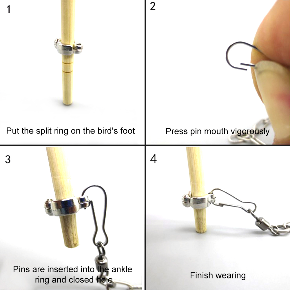 1Pcs Pet Parrot Leg Ring Ankle - مراجعة Gymnastic Ring Wood وسعره